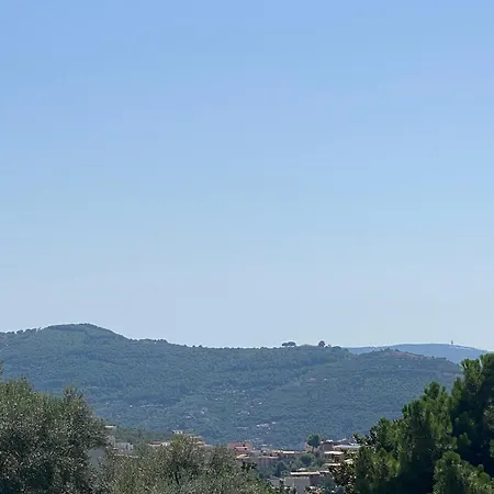 게스트하우스 Torre Delle Grazie Sorrento